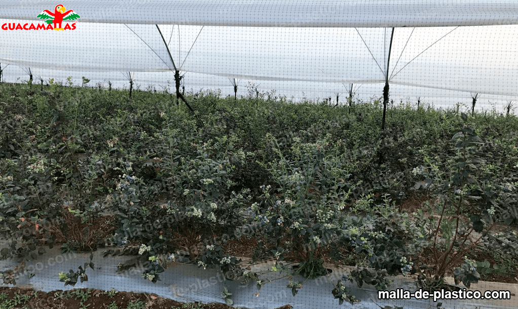 malla para evitar anidación de aves 