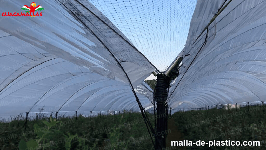 malla para protección de pájaros